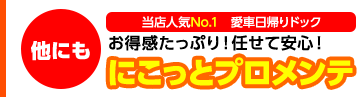 任せて安心愛車日帰りドック　にこっとプロメンテ